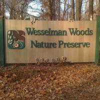 Wesselman Woods Nature Preserve